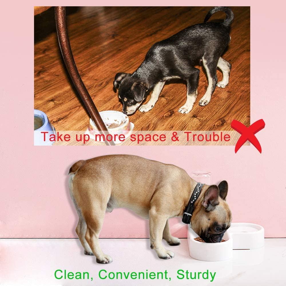Pet Bowl Puppy Home Automatic Water Dispenser Cats Dogs Easy Clean PP Food Dish
